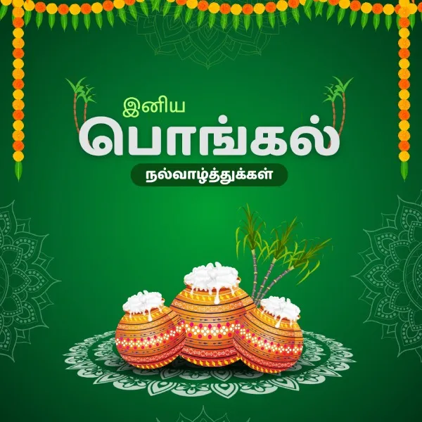 Pongal festival